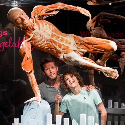 2018_tgi_body_worlds_4.jpg