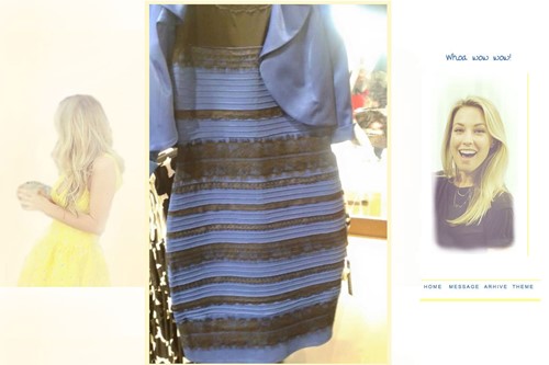 Normalisatie Blazen doel Is de jurk nou blauw-zwart of wit-goud? | Body Worlds Amsterdam