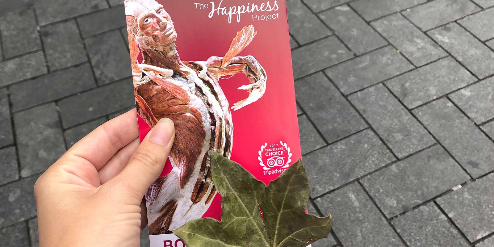 Herfstblog.jpg