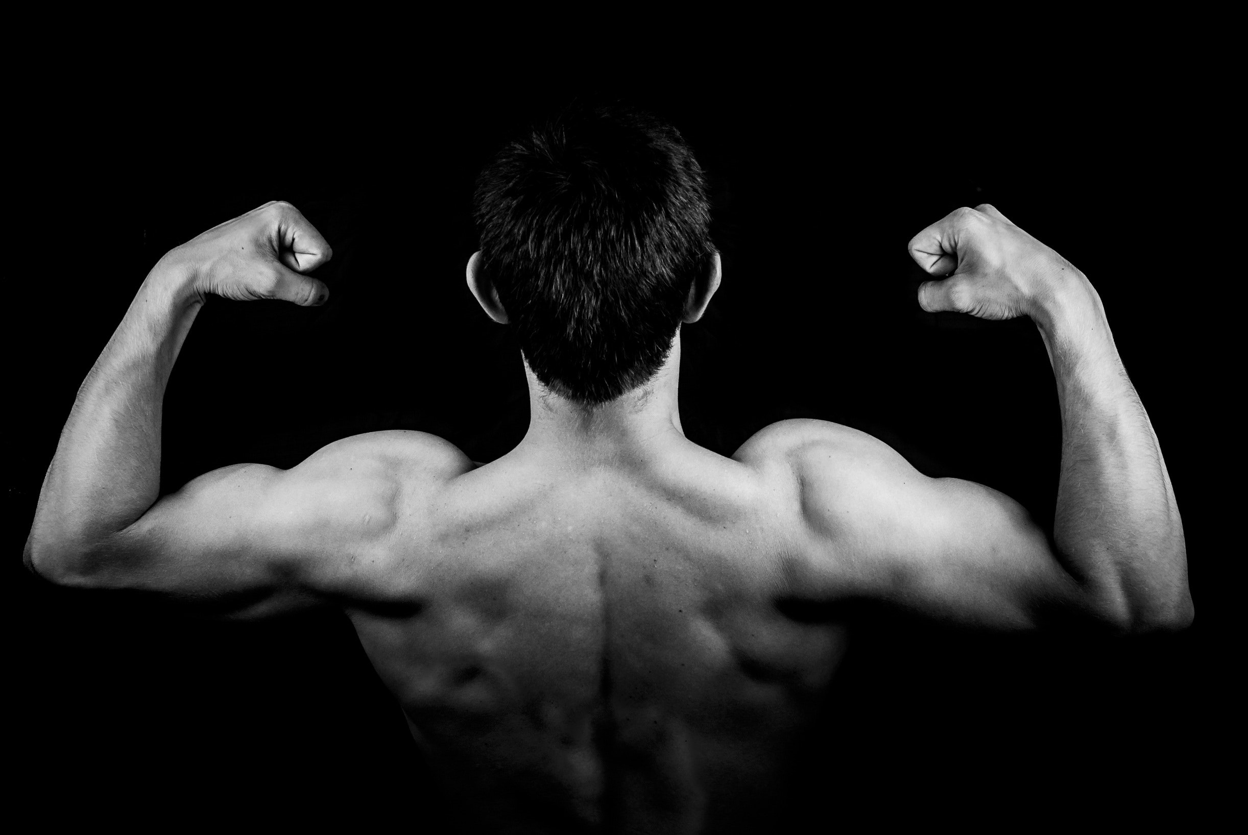 Muscles