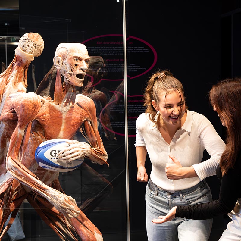 Body Worlds 2025 0007 BWA 20250521 152A5375