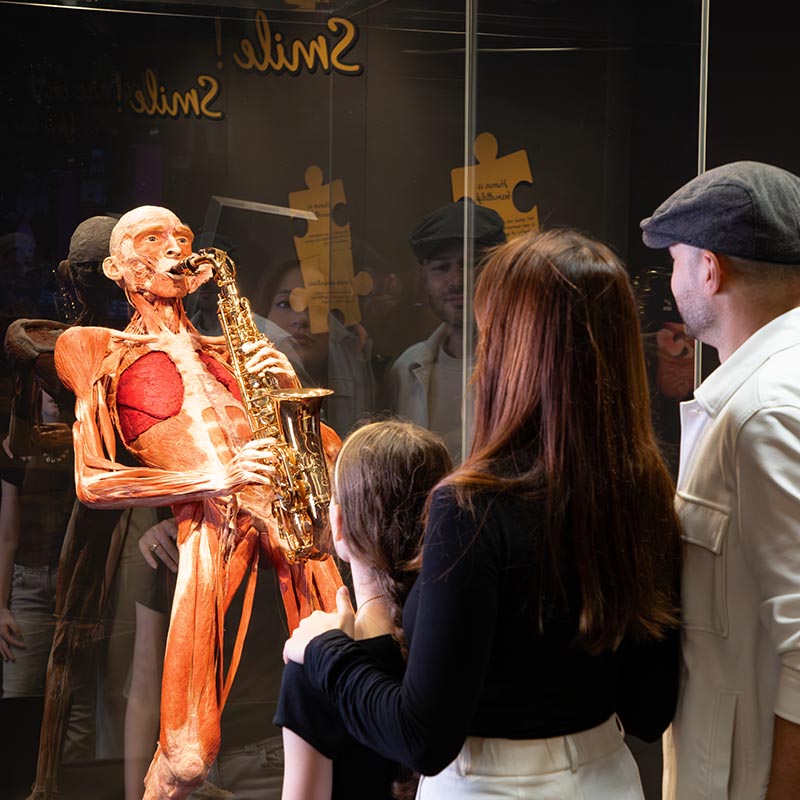 Body Worlds 2025 0005 BWA 20250521 152A5264