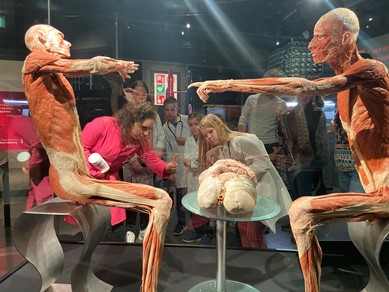 body world people