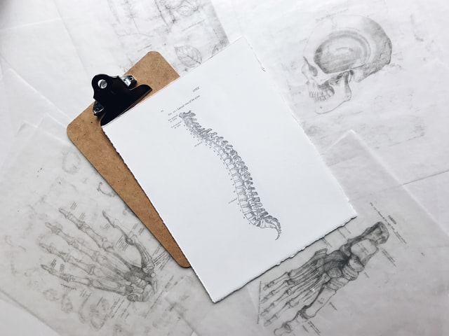 World Spine Day