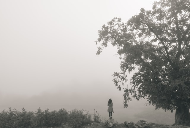 A Grey Day